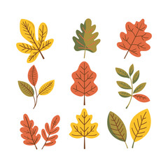 Set of autumn leaves and nuts