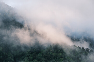 山の風景