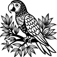 parrot icon 