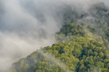 山の風景