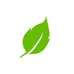 Green leaf icons. Leaves icon. Leaves of trees and plants. Vector illustration.