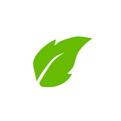 Green leaf icons. Leaves icon. Leaves of trees and plants. Vector illustration.