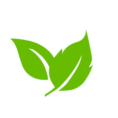 Fototapeta premium Green leaf icons. Leaves icon. Leaves of trees and plants. Vector illustration.