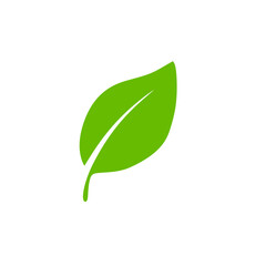 Green leaf icons. Leaves icon. Leaves of trees and plants. Vector illustration.