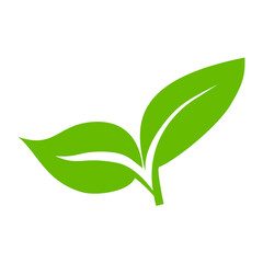 Green leaf icons. Leaves icon. Leaves of trees and plants. Vector illustration.