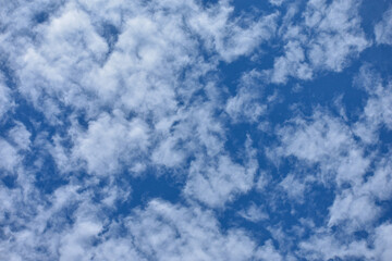 Fototapeta premium 真夏の澄んだ青空と白い雲