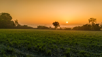 Bocage normand baignant dans une lumière jaune orange rouge sous le soleil levant