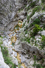 Torrent at the bottom of the Galamus gorges in France.