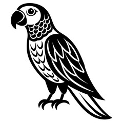 parrot vector