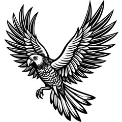 Fototapeta premium parrot vector