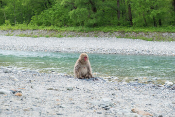 Obraz premium 山岳風景