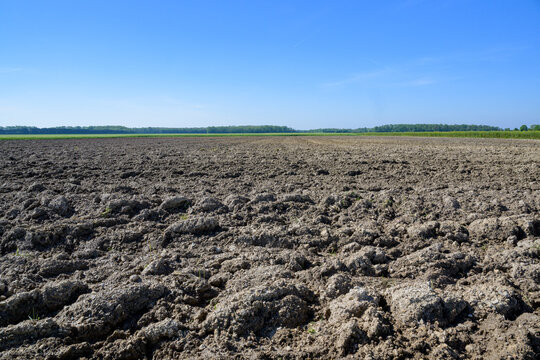 Champ labour&eacute; en terre vu du ras du sol