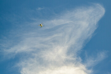 Drone en vol dans un ciel bleu avec de beaux nuages blancs
