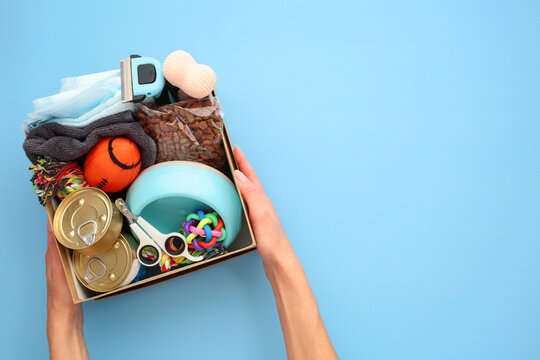 Donation box with pet supplies and food in female hand over blue background. Pet car, charity, animal shelters support concept.
