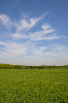 Paysage normand avec ciel et champ au grand angle