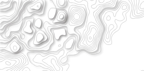 Abstract pattern with lines seamless topography map and counter map. geometric grid outline sea map area space geometric line technology topo landscape grid map texture.