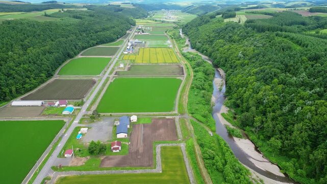 Biei, Japan: Aerial drone footage of the farms and field in the Biei countryside next to a river flowing from the Daisetsuzan range Hokkaido in summer in Japan. 