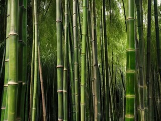 Bamboo Greenery