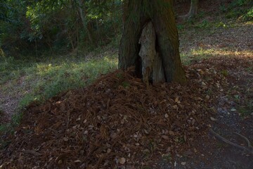 源頼朝公の墓所　神奈川県鎌倉市二階堂