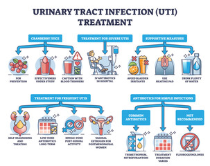 Urinary tract infection or UTI treatment for bladder illness outline diagram, transparent background. Labeled educational scheme with medical methods for disease treating and urological support.