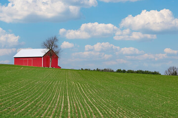 red barn and blue sky