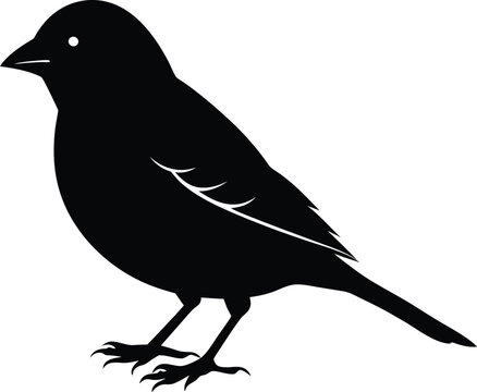 recommend clip art: Black and white silhouette of a sparrow