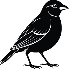 Black and white silhouette of a sparrow