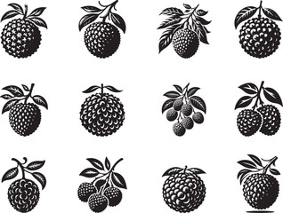 Lychee Fruit Silhouette Vector Illustrationk
