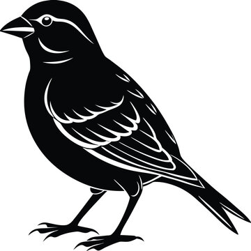 recommend clip art: Black and white silhouette of a sparrow