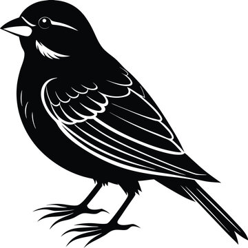 recommend clip art: Black and white silhouette of a sparrow