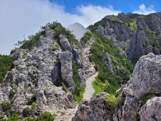 Gratweg zwischen Herzogstand und Heimgarten (Bayerische Voralpen)