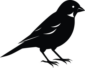 Black and white silhouette of a sparrow