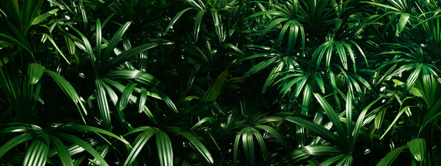Dark tropical leaves background,jungle leaf banner for cover or wallpaper