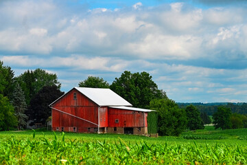 red barn in the field