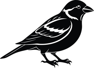 Fototapeta premium Black and white silhouette of a sparrow