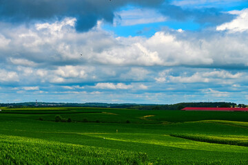 Farming, corn field and red barn 