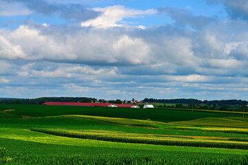landscape with field and sky