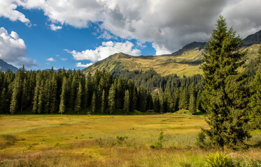 autumn in the mountains