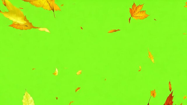 Leaves falling to the ground on a green screen