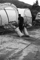 a worker working at a traditional charcoal burning plant in the Bieszczady Mountains pulls bags of...