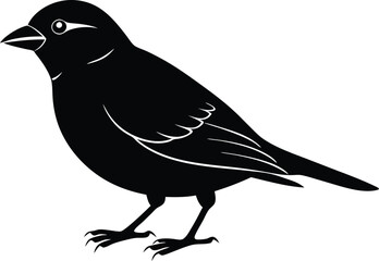 Obraz premium Black and white silhouette of a sparrow
