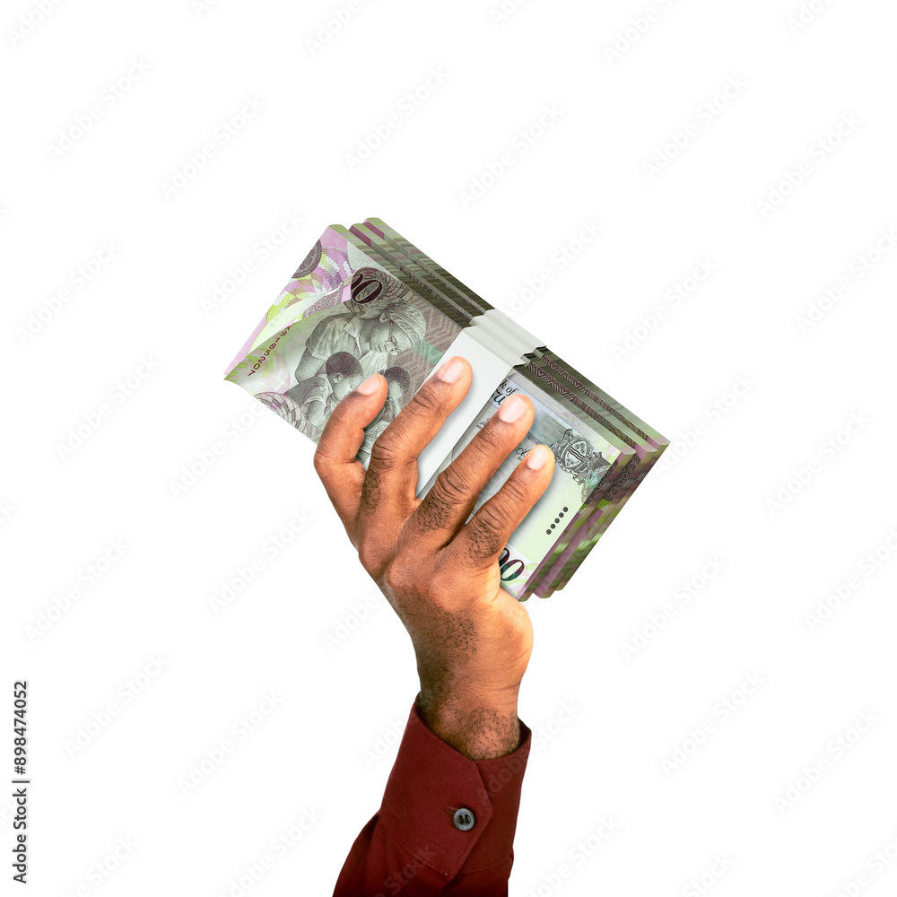 Wall mural Raised hand Holding stacks of Botswanan pula notes isolated on white background, Botswana pula
