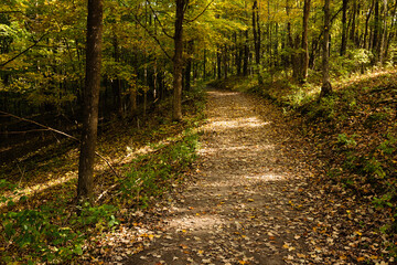 Early morning shadows cross the hiking trail within the Pike Lake Unit, Kettle Moraine State Forest, Hartford, Wisconsin in early October