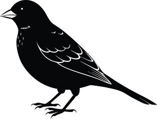 Fototapeta premium Black and white silhouette of a sparrow