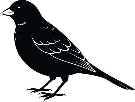 recommend clip art: Black and white silhouette of a sparrow
