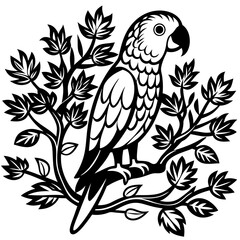 parrot Vector