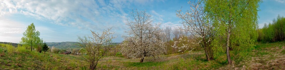 Panorama of the spring forest near the mountain town. Picturesque landscape of a sunny day.