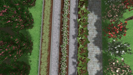 3d image of the landscape design of the home territory. Landscaping of the territory. Computer visualization of composite landscaping and landscaping solutions.