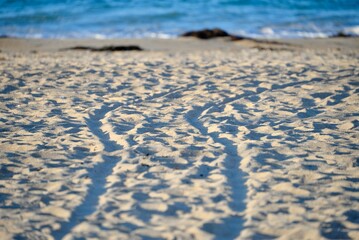 footprints in the sand