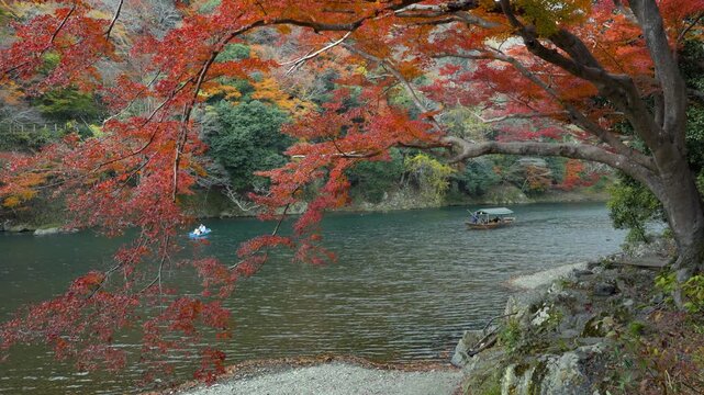 Autumn season in Kyoto, Japan, tourists enjoying a serene boat ride on the Katsura River, surrounded by the vibrant fall foliage. Japanese maple tree in fall season, travel and nature background.